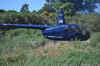 DSC_3102.jpg (124412 bytes)