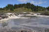 DSC_3110.jpg (123576 bytes)