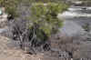 DSC_3112.jpg (139792 bytes)