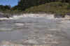 DSC_3121.jpg (114974 bytes)