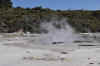 DSC_3126.jpg (121398 bytes)