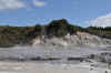DSC_3130.jpg (117705 bytes)