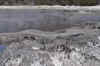 DSC_3138.jpg (123108 bytes)