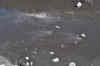 DSC_3152.jpg (85589 bytes)