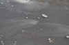 DSC_3153.jpg (76859 bytes)