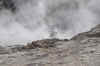 DSC_3155.jpg (125485 bytes)