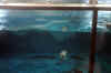 DSC_3329.jpg (93256 bytes)