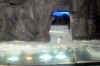 DSC_3331.jpg (111206 bytes)