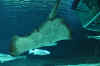 DSC_3350.jpg (95293 bytes)