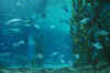 DSC_3356.jpg (119756 bytes)