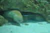 DSC_3357.jpg (92499 bytes)