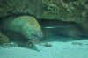 DSC_3358.jpg (83130 bytes)