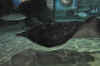 DSC_3365.jpg (91222 bytes)