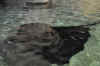 DSC_3367.jpg (96419 bytes)