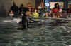 DSC_3372.jpg (123433 bytes)