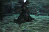 DSC_3375.jpg (105471 bytes)