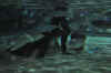 DSC_3376.jpg (91233 bytes)