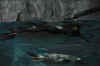 DSC_3378.jpg (86121 bytes)