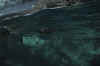DSC_3379.jpg (87144 bytes)