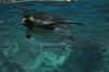 DSC_3380.jpg (93745 bytes)