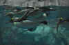 DSC_3381.jpg (98878 bytes)