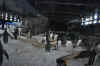 DSC_3385.jpg (113953 bytes)