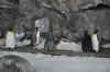 DSC_3390.jpg (119431 bytes)