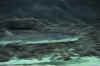 DSC_3401.jpg (84062 bytes)