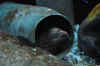 DSC_3403.jpg (102568 bytes)