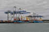 DSC_3416.jpg (104558 bytes)