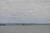 DSC_3472.jpg (60325 bytes)