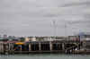 DSC_3483.jpg (94317 bytes)