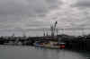 DSC_3488.jpg (89458 bytes)