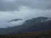DSC_3618.jpg (56335 bytes)