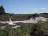 DSC_3653.jpg (131178 bytes)
