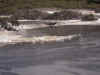 DSC_3656.jpg (117376 bytes)