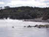 DSC_3660.jpg (107622 bytes)