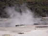 DSC_3663.jpg (101680 bytes)