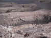 DSC_3666.jpg (135662 bytes)