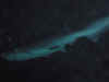 DSC_3693.jpg (59429 bytes)