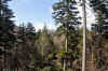 DSC_0002.jpg (116380 bytes)