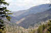 DSC_0004.jpg (112983 bytes)