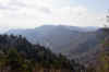 DSC_0006.jpg (86425 bytes)