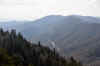 DSC_0007.jpg (74285 bytes)