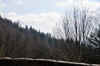 DSC_0011.jpg (126036 bytes)