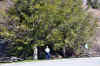 DSC_0018.jpg (144090 bytes)