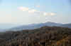 DSC_0027.jpg (80640 bytes)