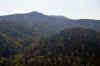 DSC_1612.jpg (86309 bytes)