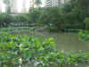 DSCN13592258.jpg (217695 bytes)