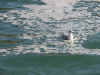 DSCN2869.jpg (138280 bytes)